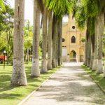 Coroa de Flores Cemitério Municipal de Coroaci – MG