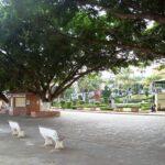 Coroa de Flores Cemitério Municipal de Descoberto – MG