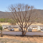 Coroa de Flores Cemitério Municipal de Abaíra/BA