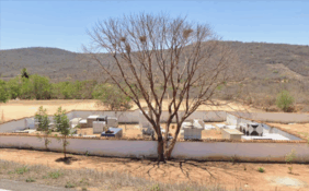 Coroa de Flores Cemitério Municipal de Abaíra/BA