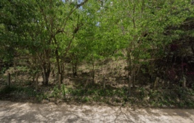 Coroa de Flores Cemitério Municipal de Flexeiras/AL