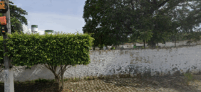 Coroa de Flores Cemitério Municipal de Branquinha/AL