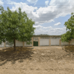 Coroa de Flores Cemitério Castro Alves – Castro Alves/BA