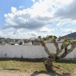 Coroa de Flores Cemitério Municipal – Conceição da Feira/BA