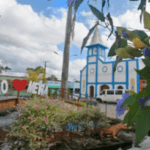 Coroa de Flores Cemitério Público Muncipal de Dário Meira – Dário Meira/BA
