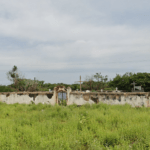Coroa de Flores Cemitério Municipal de Itaguaçu da Bahia – Itaguçu da Bahia/BA