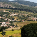 Coroa de Flores Cemitério Municipal de Lafaiete Coutinho – Lafaiete Coutinho/BA