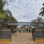 Coroa de Flores Cemitério Municipal de Elói Mendes – Elói Mendes/MG