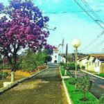 Coroa de Flores Cemitério Municipal de Ouro Verde de Minas – Ouro Verde de Minas/MG