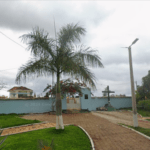 Coroa de Flores Cemitério Municipal de São Bento Abade – São Bento Abade/MG