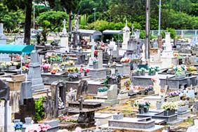 Coroa de Flores Cemitério Municipal de Boquim – SE