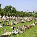 Coroa de Flores Cemitério Municipal de Rancharia – SP