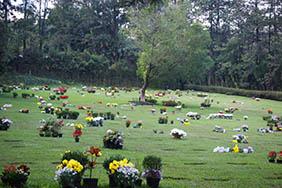 Coroa de Flores Cemitério Municipal de Redenção da Serra – SP