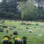 Coroa de Flores Cemitério Municipal de Santa Rosa de Lima – SE