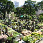 Coroa de Flores Cemitério Municipal de Tejupá – SP
