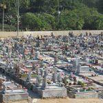 Cemitério de Luiziânia – SP