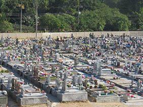 Coroas de Flores Cemitério de Luiziânia – SP