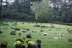 Coroas de Flores Cemitério de Manacapuru