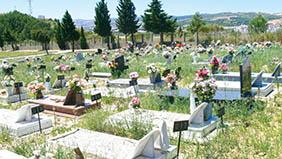 Coroas de Flores Cemitério Municipal de Itatiba – SP